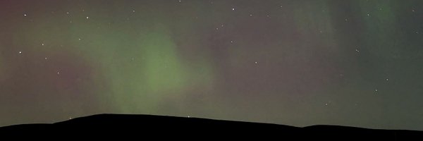 lucymoosh Profile Banner