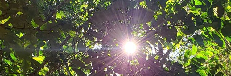 colorcapuli's profile banner image
