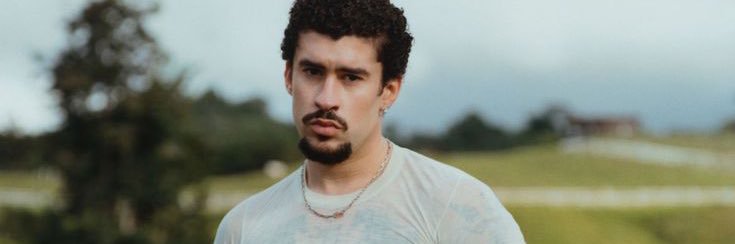 Desirée 🇧🇷 banner