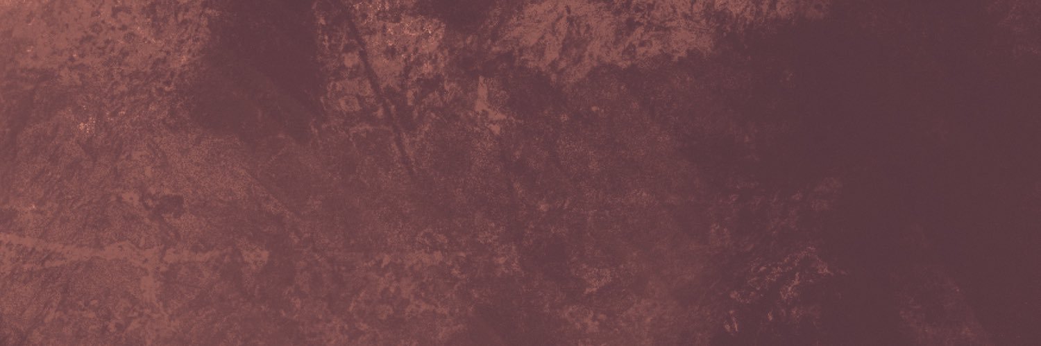 L 🌺's banner