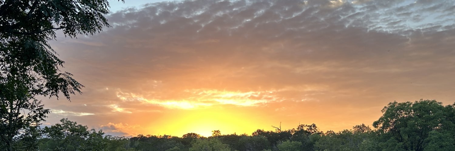 daltonhindmarsh's profile banner image