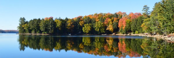 HAShepOTPhD Profile Banner