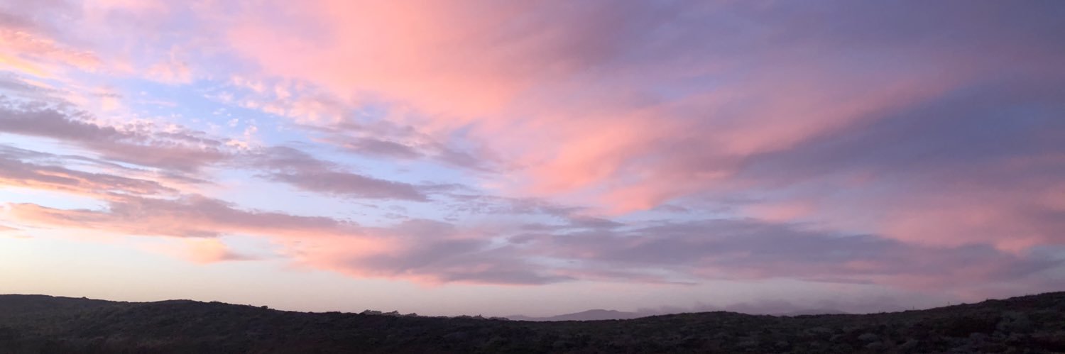 Claire Murphy banner