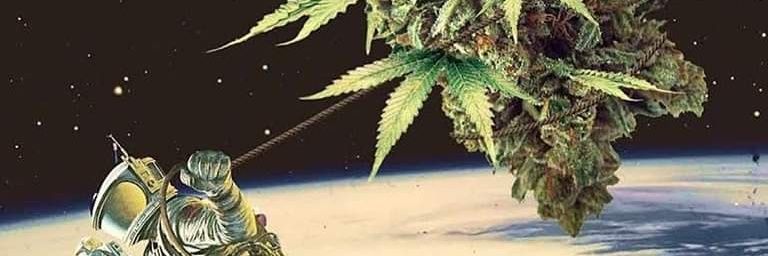 william_offer's profile banner image