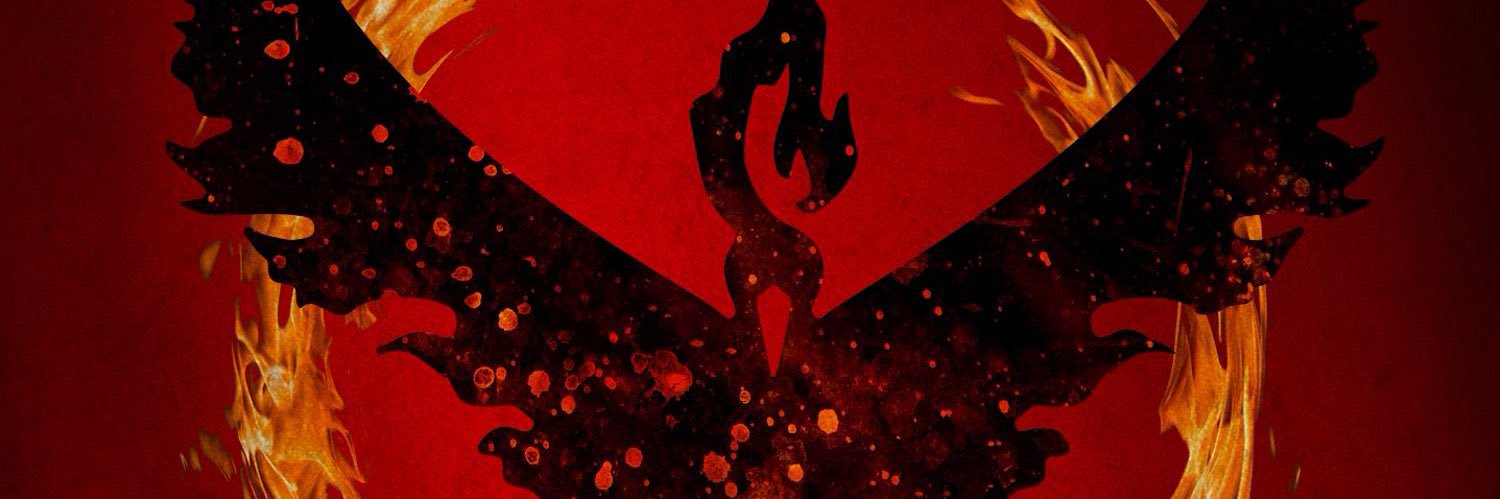Hemminger banner
