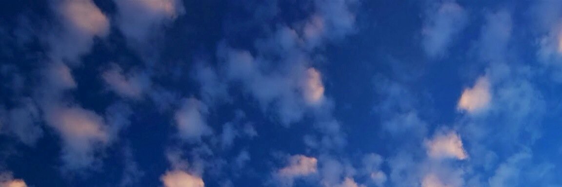 savarinogian's profile banner image