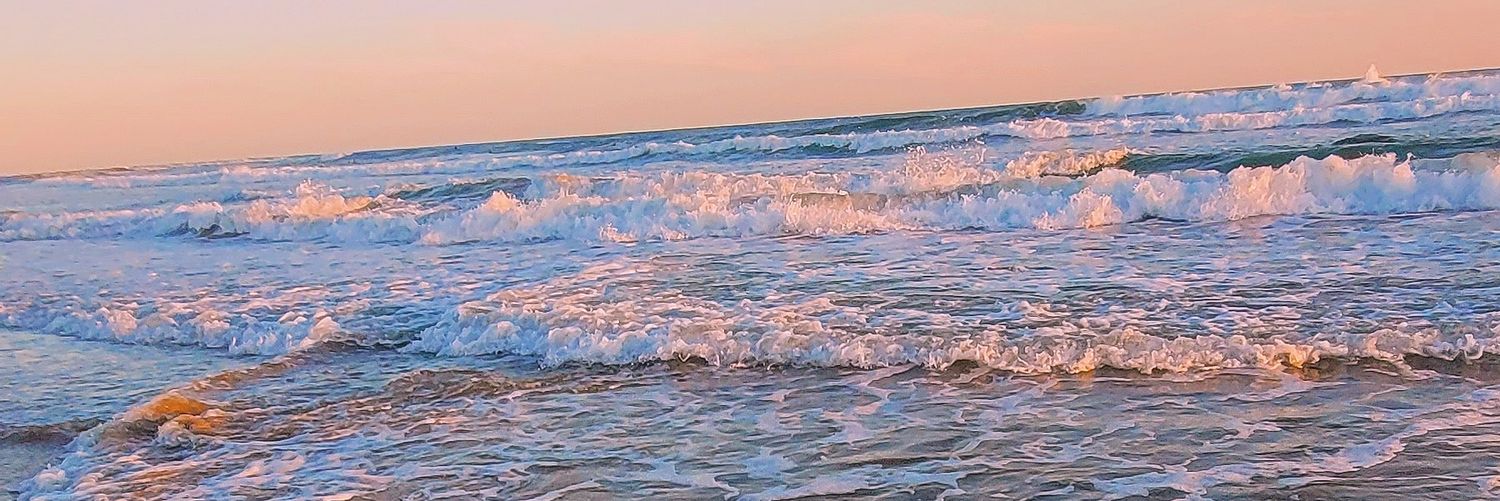 alditeloni's profile banner image