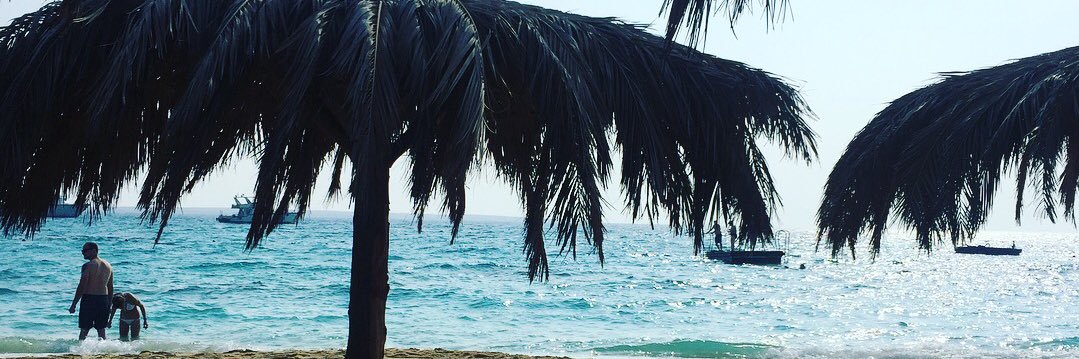 phoeber37's profile banner image