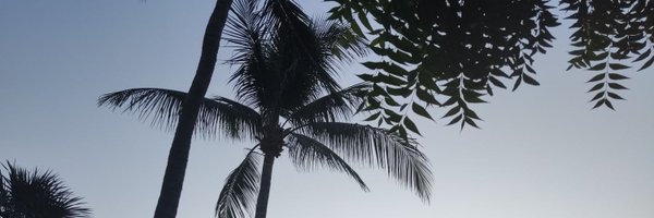 AnotherFatDoggo Profile Banner