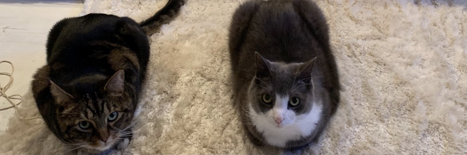 Southoftheriver banner