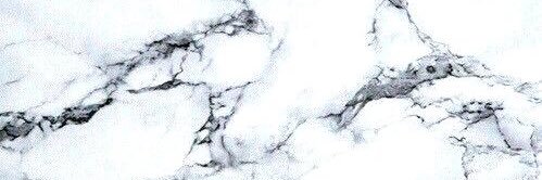 wendt2thebeach's profile banner image