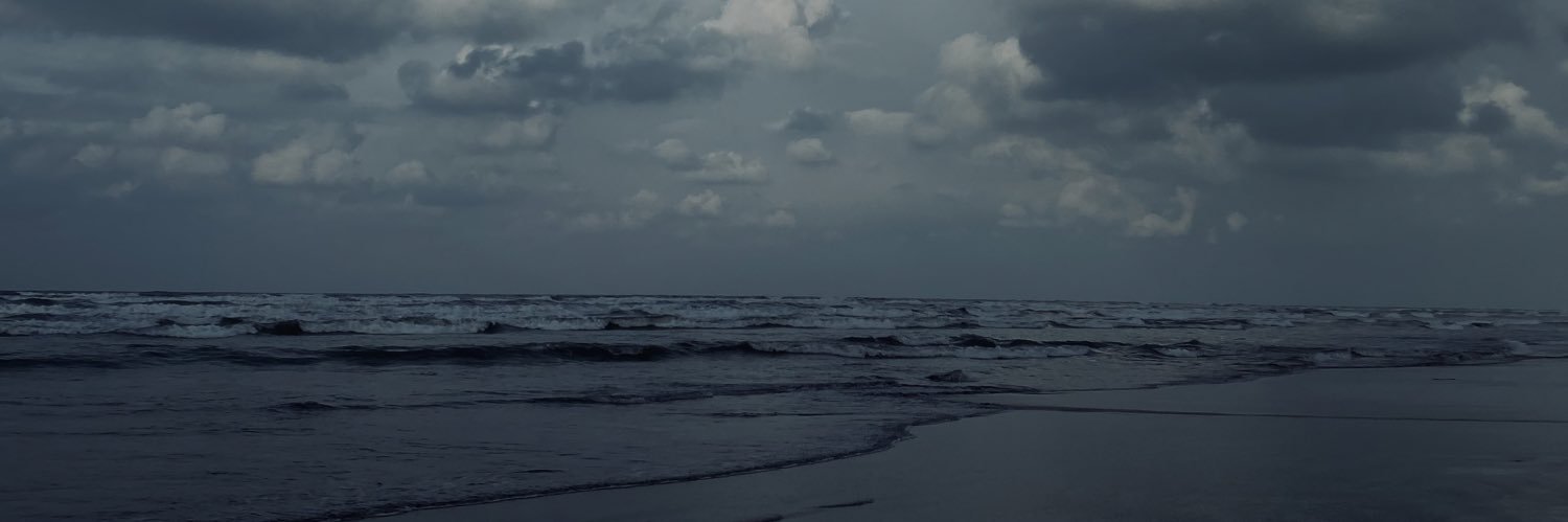 Melika Hosseini's banner