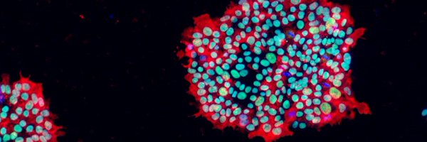 IvanaBarbaric3 Profile Banner