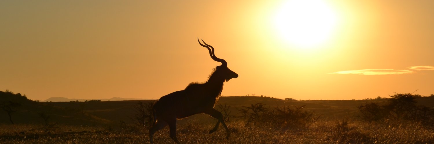 JonathanAmory banner