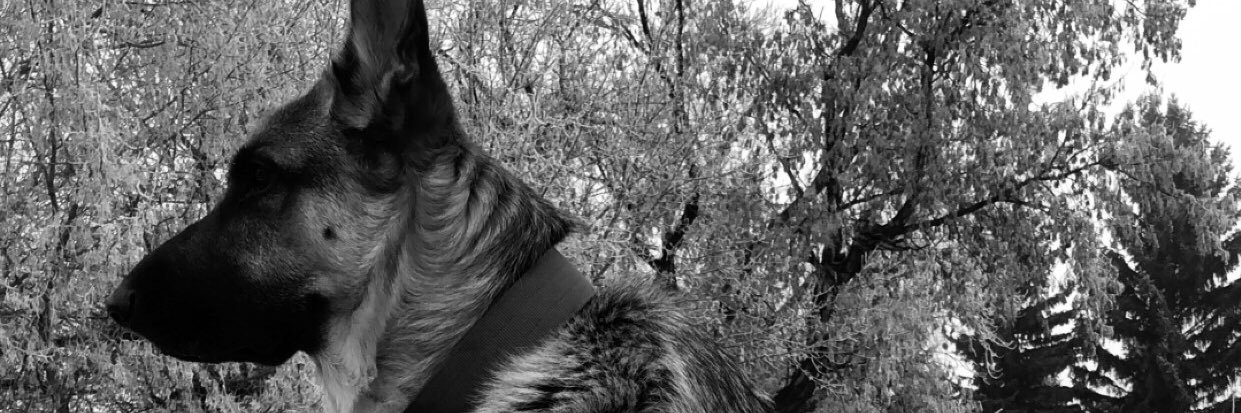 ajmoreno32's profile banner image
