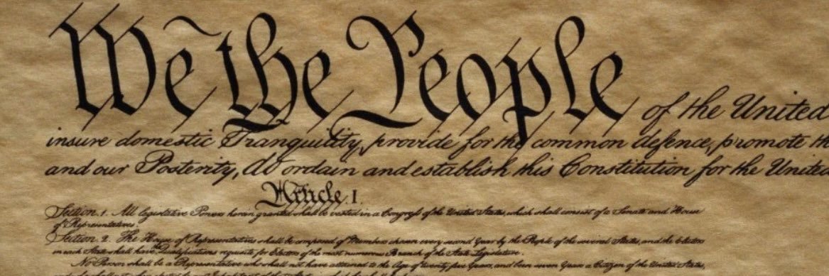 NonotGump 🐷🟪 banner