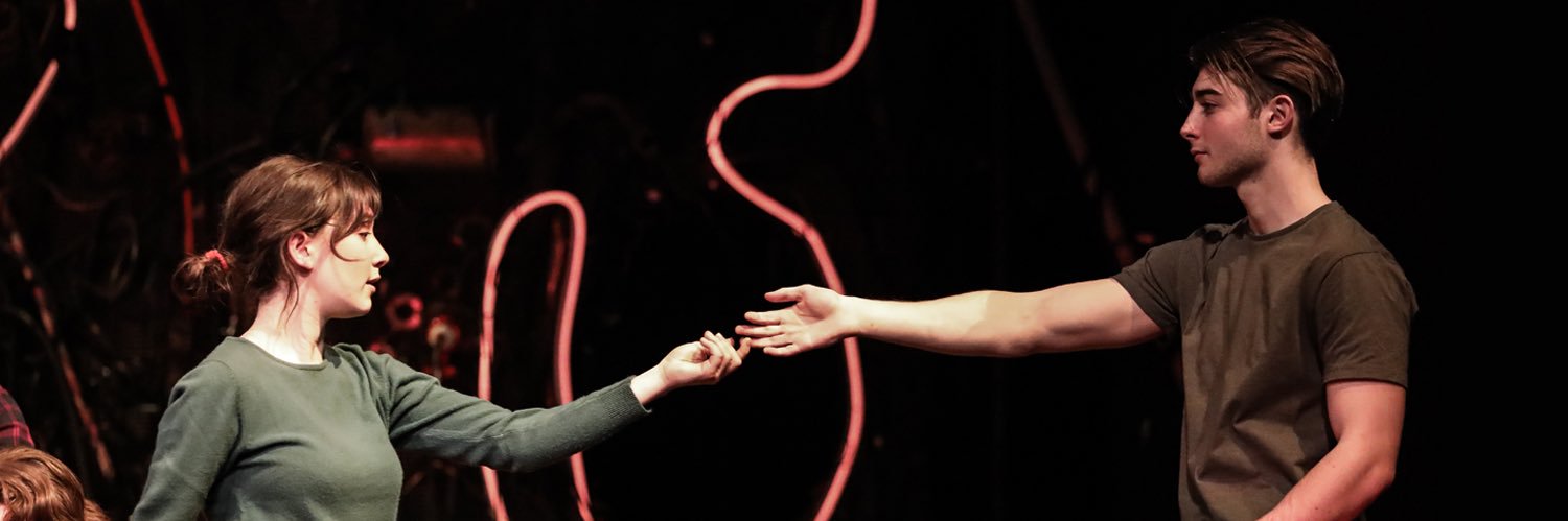 Rose Participate banner