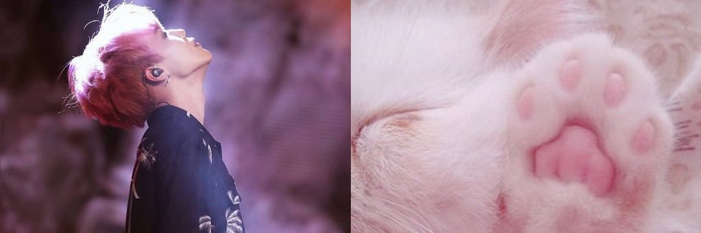 InggridParamita's profile banner image