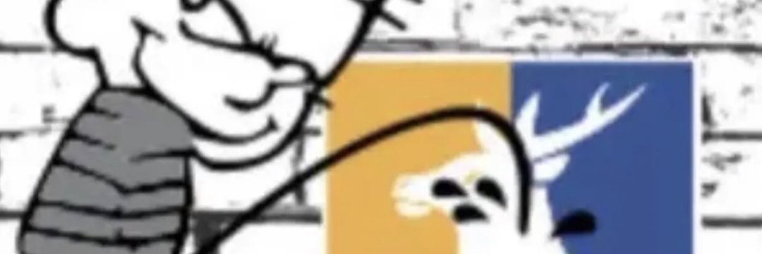 shane banner