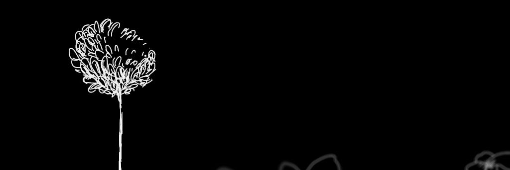或板's banner