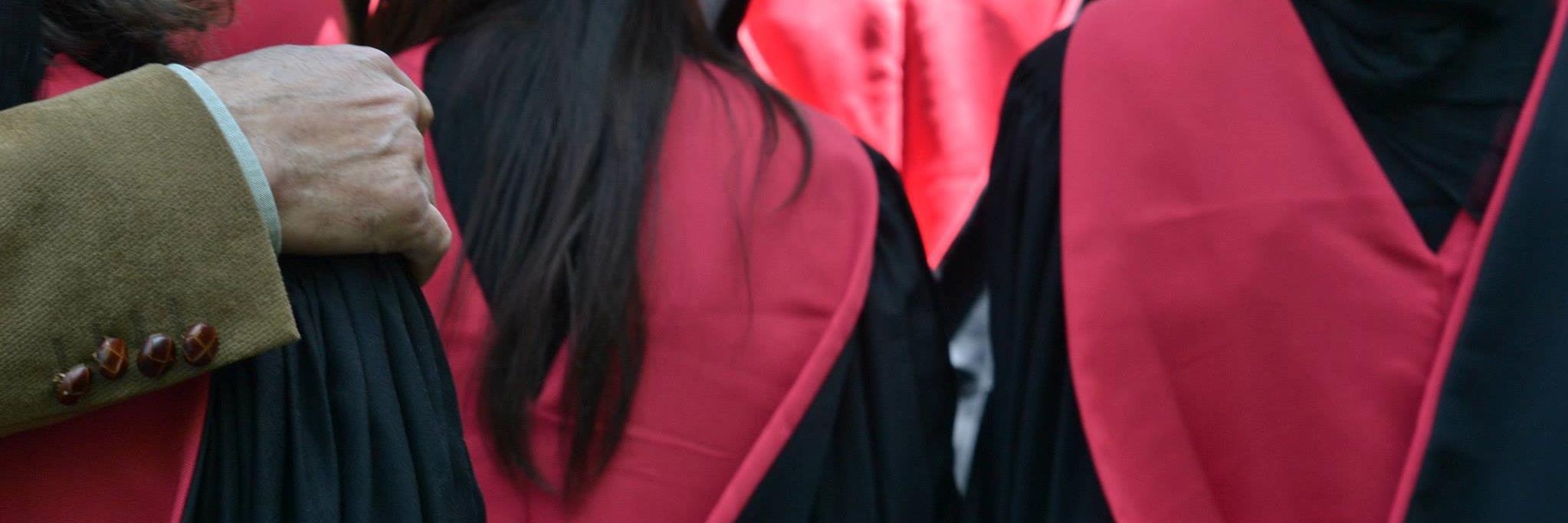 Ana Catarina Fonseca, MD PhD MPH banner