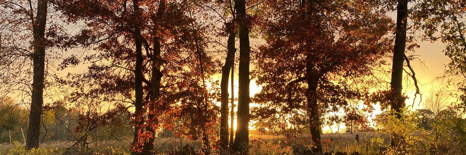 Muck Boot Nationalist banner