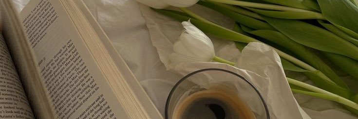 olianalopez's profile banner image
