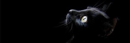 Chico_Terry18's profile banner image