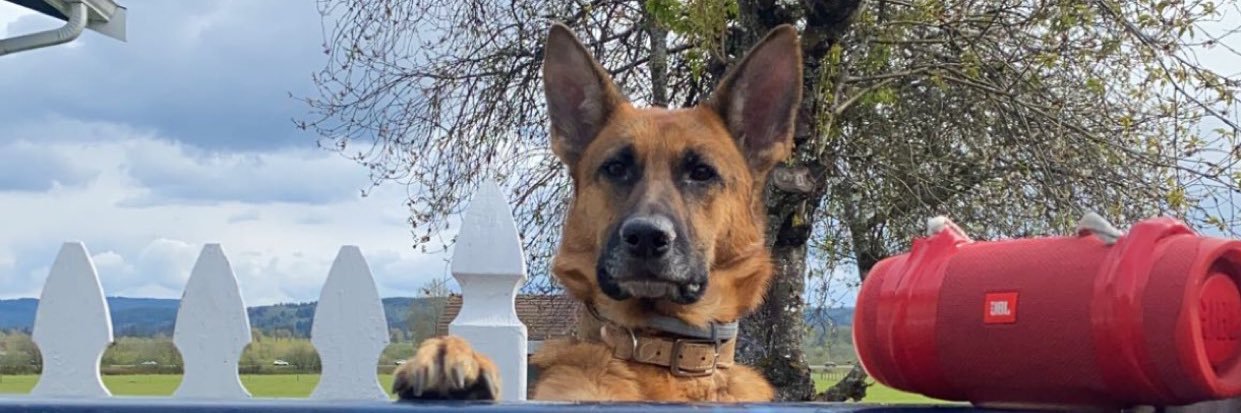 DigBawg's profile banner image