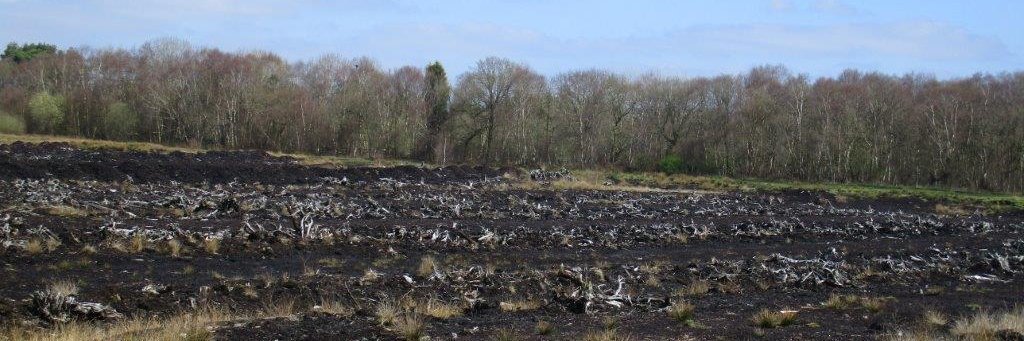 ChesterLandscapeHistory banner