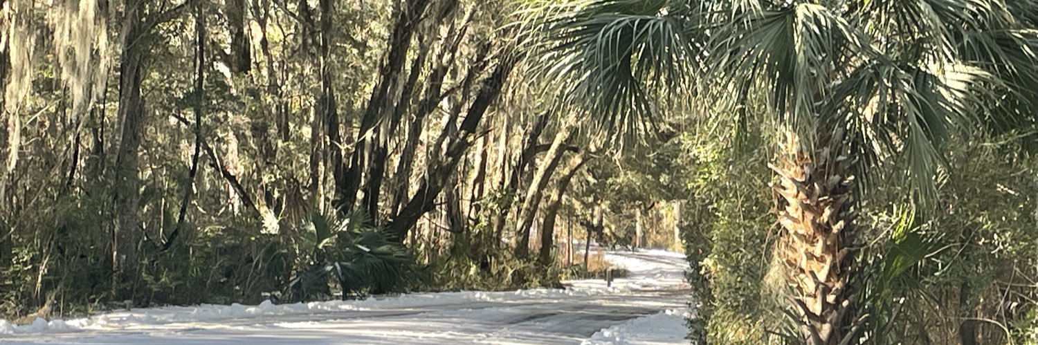 southernscenescollection banner