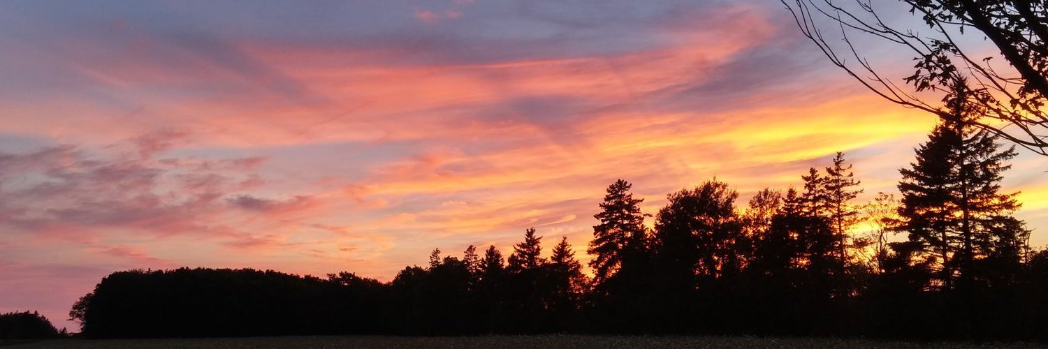 PamLaird1's profile banner image