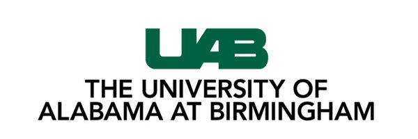 SPAI_UAB Profile Banner