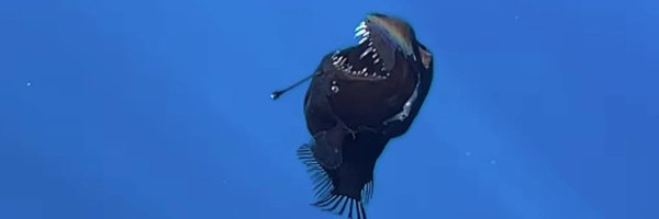 OteroTuitea Profile Banner