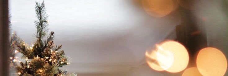 Pp banner