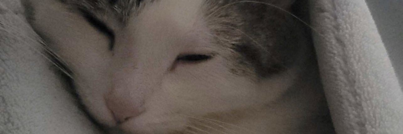 Kroq2k's profile banner image