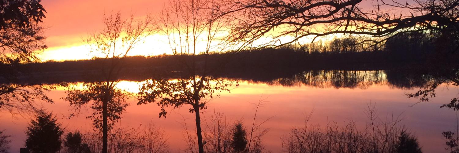 griffdog127's profile banner image