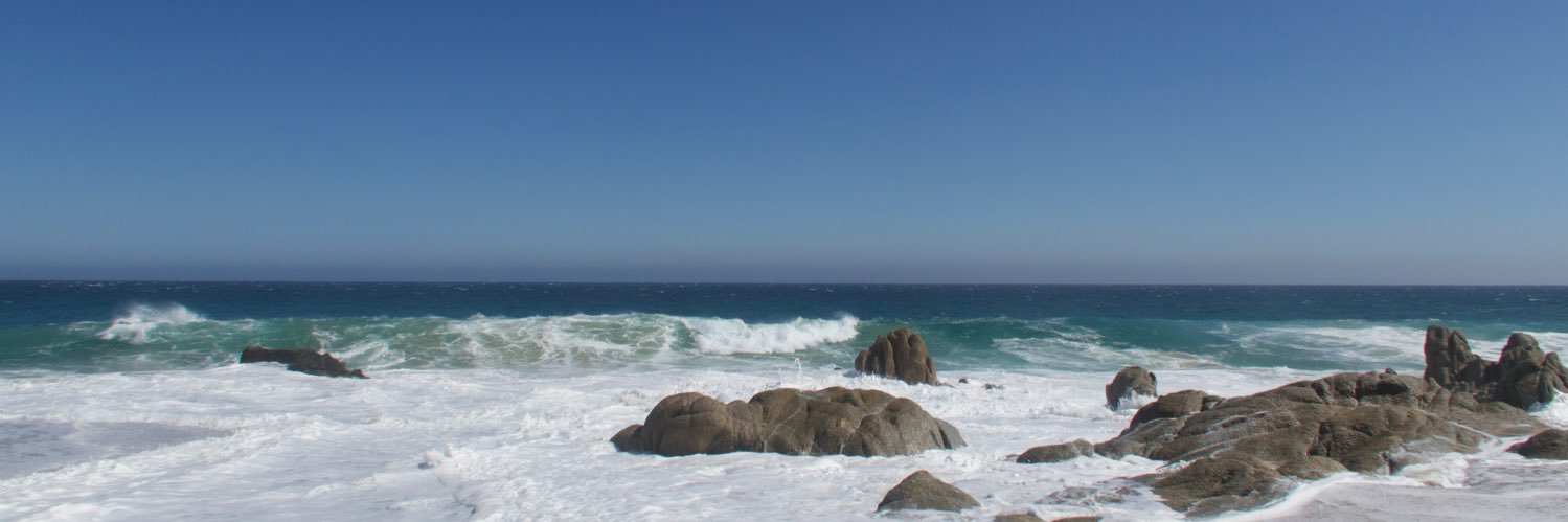 tlcarmiichael's profile banner image