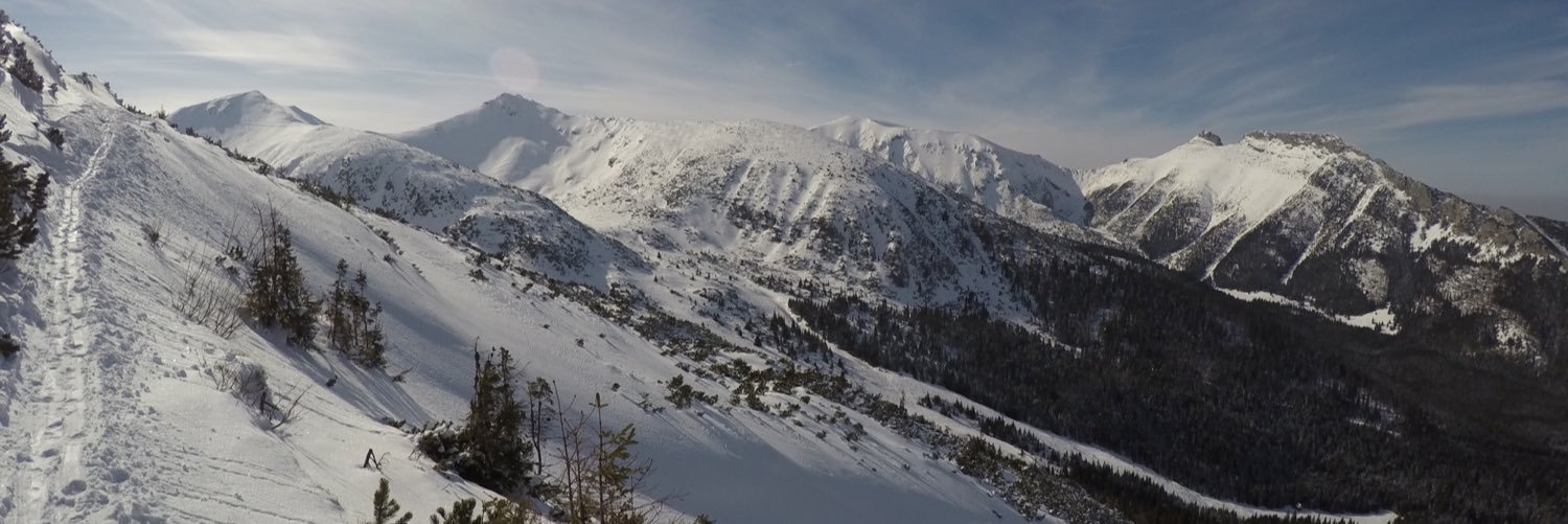 penki's profile banner image