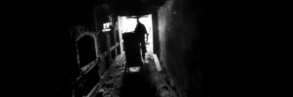 Reinaldo8628's profile banner image