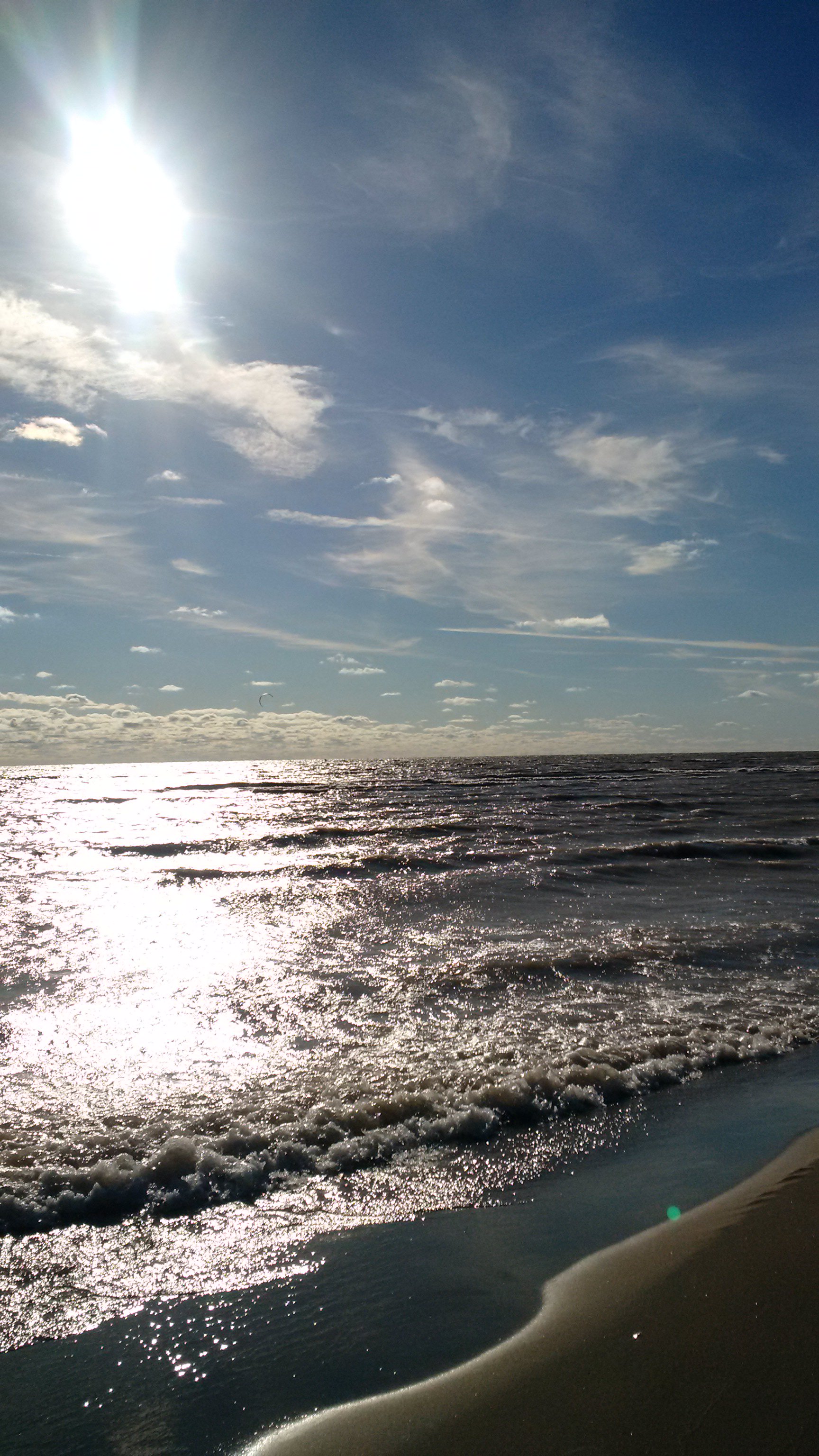 TinaLSHarrison's profile banner image