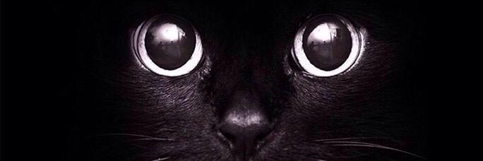 •หิวผัดไทย• banner