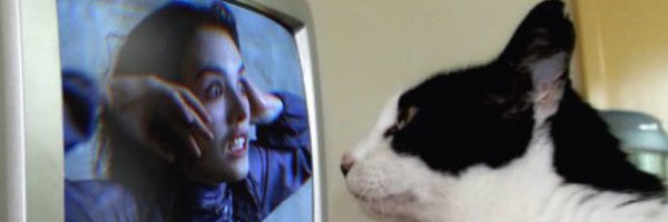 messygirI Profile Banner