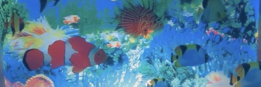 sam 🦭's banner
