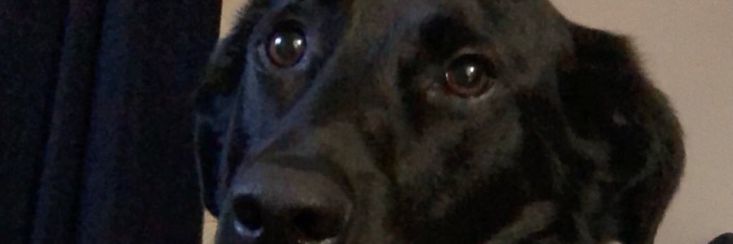 alexgrimm98's profile banner image