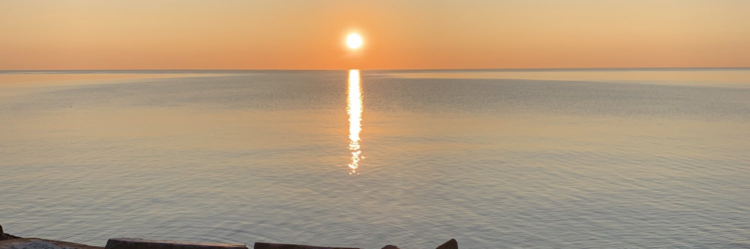 Dennis Springer banner