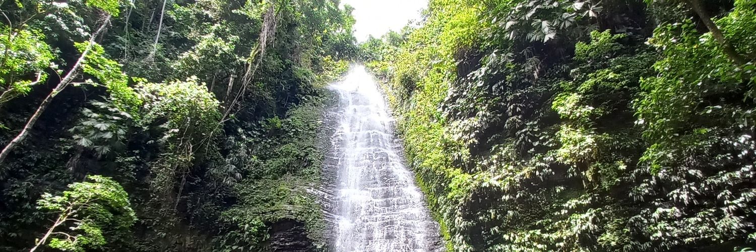 Duvanfelipe45's profile banner image