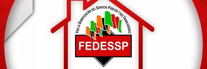 Fedessp Veracruz banner