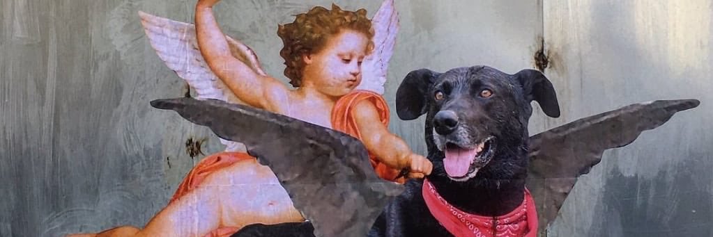 Pame_IDGAF's profile banner image