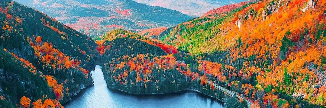 Northeast Beer Community banner